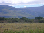 Western Cape